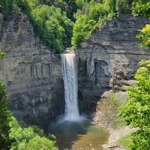 Meet your Posher, Travis